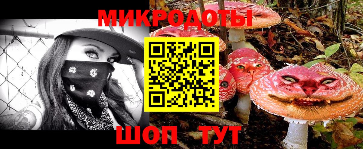 Псилоцибиновые грибы Psilocybine cubensis Юрга